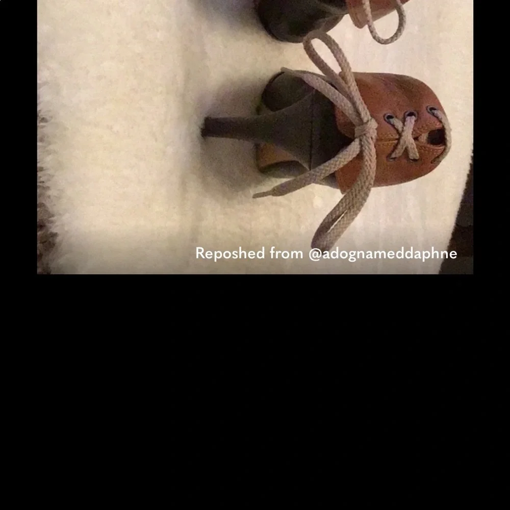 Gina Rutledge - Picture 3 of 4